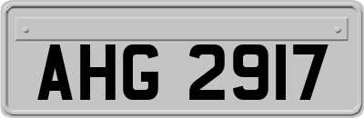 AHG2917