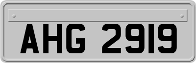 AHG2919