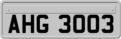 AHG3003