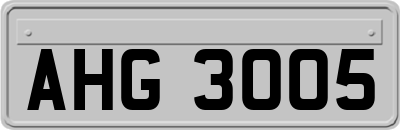 AHG3005