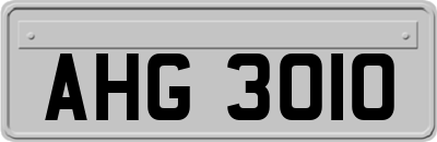 AHG3010