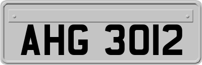 AHG3012