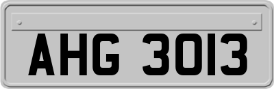 AHG3013