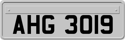 AHG3019