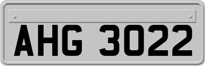 AHG3022