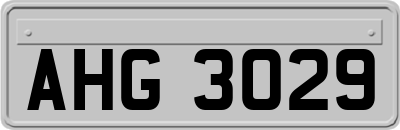 AHG3029