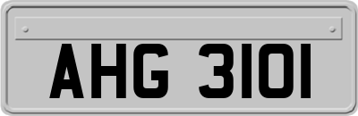 AHG3101