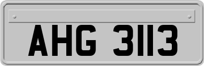 AHG3113