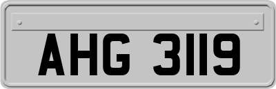 AHG3119