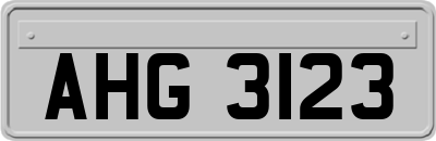 AHG3123