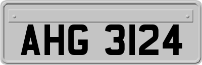 AHG3124