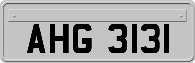 AHG3131