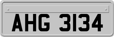AHG3134