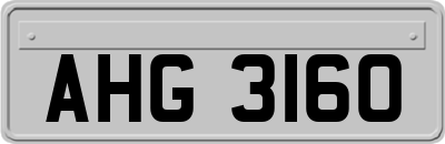AHG3160