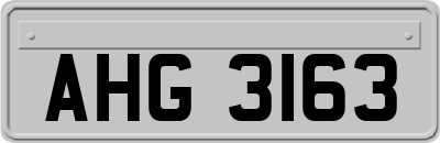 AHG3163