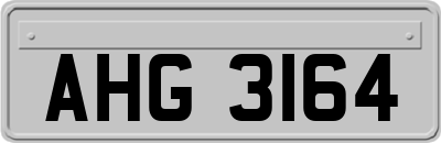 AHG3164