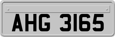 AHG3165