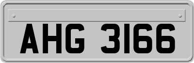 AHG3166