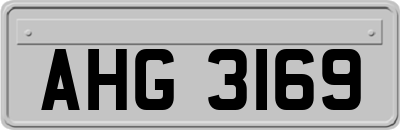 AHG3169