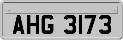 AHG3173