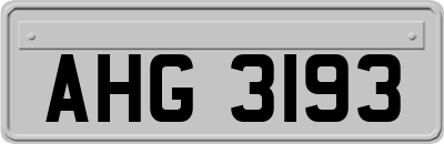 AHG3193