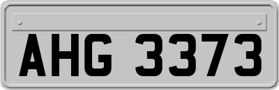 AHG3373