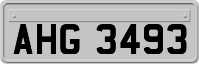 AHG3493