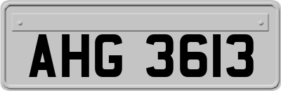 AHG3613
