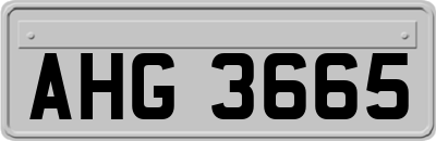 AHG3665