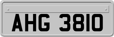 AHG3810