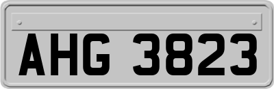 AHG3823