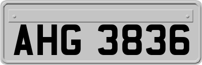 AHG3836