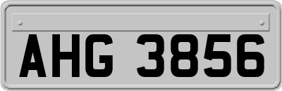AHG3856