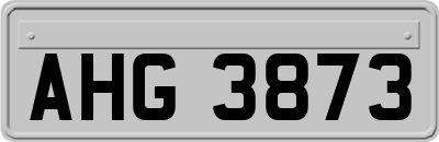 AHG3873