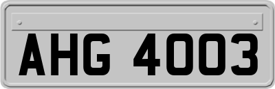 AHG4003