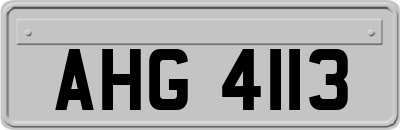 AHG4113