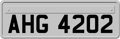AHG4202