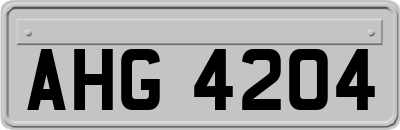 AHG4204
