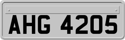 AHG4205