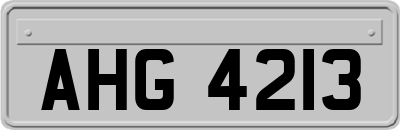 AHG4213