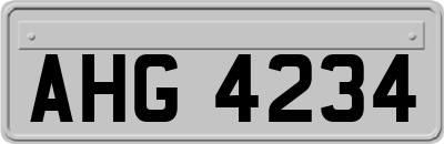 AHG4234