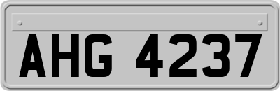 AHG4237