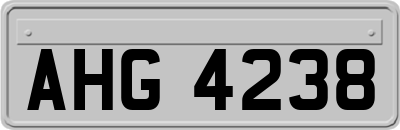AHG4238
