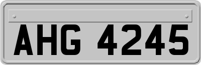 AHG4245