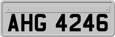 AHG4246