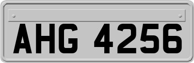 AHG4256