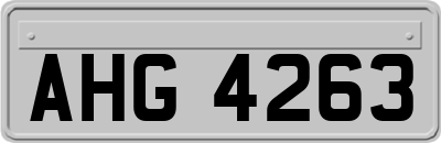 AHG4263