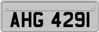 AHG4291