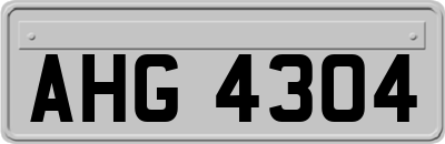 AHG4304