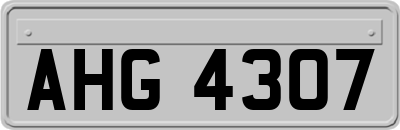 AHG4307
